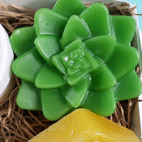 Plant Mama Soap Gift Set www.sunbasilsoap.com