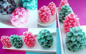 The Ultimate Teacher Gifts for 2015 Holiday - Adorable, Affordable and Handmade Pine Cone Soaps