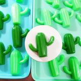 Cactus soap for succulent lovers handmade soap at Sunbasil Soap