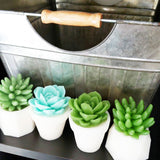 We are Rooting for You Succulent Soap Gift Set gifts of encouragement graduation gift ideas at Sunbasil Soap