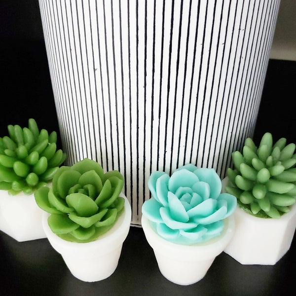 watch me grow succulent Watch Me Grow Succulent Soap Gift Set. Baby Shower Gift. Handmade Gift – Sunbasil Soap