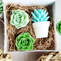 Let Love Grow Succulent Soap Gift Set handmade baby shower gift at Sunbasil Soap