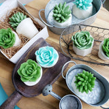 We are Rooting for You Succulent Soap Gift Set