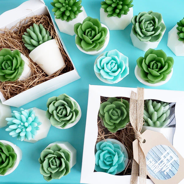 succulent watch me grow Watch Me Grow Succulent Soap Gift Set. Baby Shower Gift. Handmade Gift – Sunbasil Soap