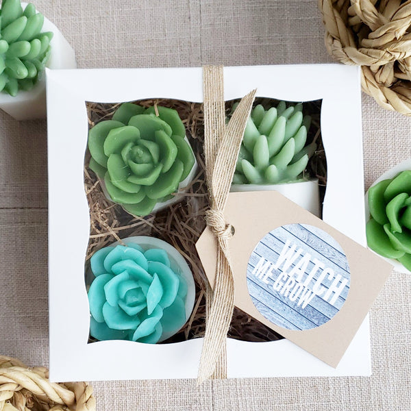 the succulent soapery Watch Me Grow Succulent Soap Gift Set. Baby Shower Gift. Handmade Gift – Sunbasil Soap