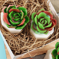 Fall Succulent Soap Gift Box : Set of 2