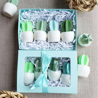 Mini Soap Cactus Gift Box www.sunbasilsoap.com