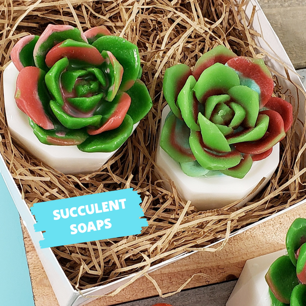 Fall Succulent Soap Gift Box : Set of 2