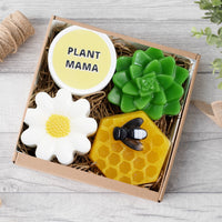 Plant Mama Soap Gift Set www.sunbasilsoap.com