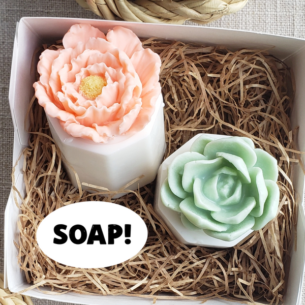 succulent soap favors Honeysuckle Soap and Succulent Soap Gift. Handmade Soaps. Sunbasil Soap